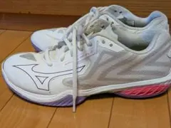 ミズノ バドミントンシューズ ウエーブクローEL2フィット71GA2582　24