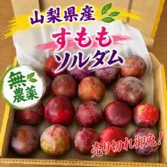 山梨県産 高級すもも ソルダム 大粒 特大のサムネイル
