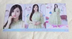 乃木坂46 生写真 結成15周年記念 コンプ 井上和 - メルカリ