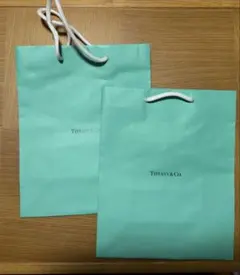 Tiffany & Co. ティファニーブルー ショップ袋 2枚セット20×25 - メルカリ