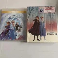 ディズニー【未使用】　アナと雪の女王2(DVD )のみ　コンプリートケース付