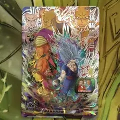 m24280095657_1.jpg?1772696478