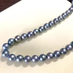 淡水パール フラットコイン ネックレス パープル系 天然色 虹色 14KGF 