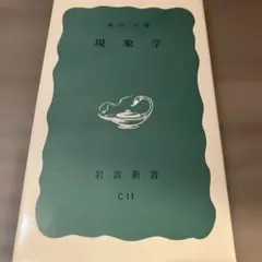現象学 岩波新書 C11 木田元 ハイデガー サルトル メルロ=ポンティ