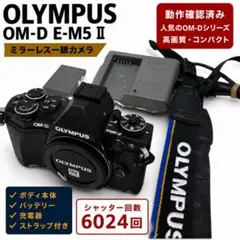 訳あり OLYMPUS OM-D E-M5II オールドレンズバッテリー・充電器 訳あり OLYMPUS OM-D E-M5II レンズバッテリー・充電器セット - メルカリ