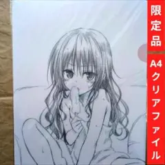 送料無料▷原画展 描き下ろしA4クリアファイルとらぶるToLOVEる