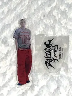 riizeウンソク アクスタ