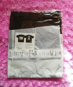 【最終値下げ】ディズニー実写 イマジニングザマジック Tシャツ Mサイズ♡