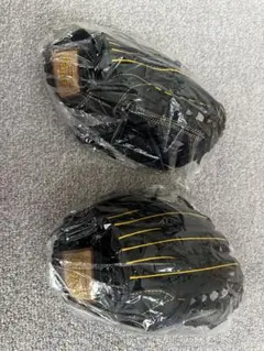 阪神タイガース 近本 キッズ グラブ グローブ 右・左利きセットと保冷
