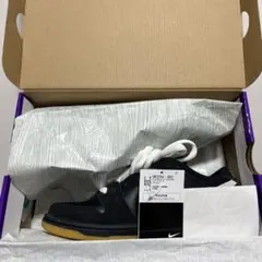 Nike SB Dunk Low Pro 