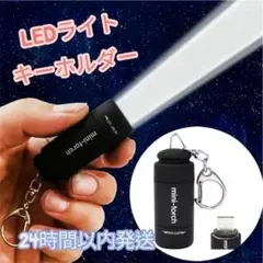 ミニLEDライト　キーホルダー　USB　充電 フラッシュライト コンパクト