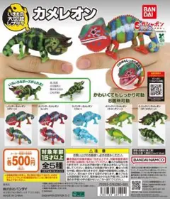 全5種コンプ いきもの大図鑑レプティ カメレオン