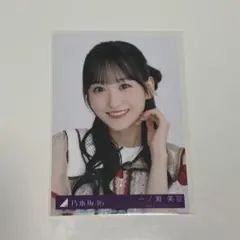 乃木坂46 ビリヤニ 封入 生写真 Type-A 一ノ瀬美空
