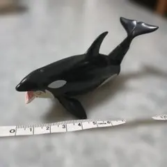 アニア 　シャチのサムネイル