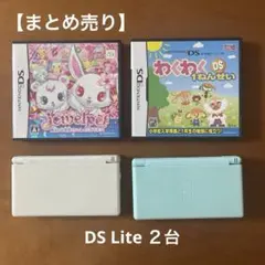任天堂 DS Lite 本体２台とソフト2本のセット