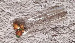 Item thumbnail for item f88f4dfe-3d7e-4779-b364-48c73e0abde2