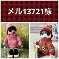 メル13721様 リクエスト 2点 まとめ商品