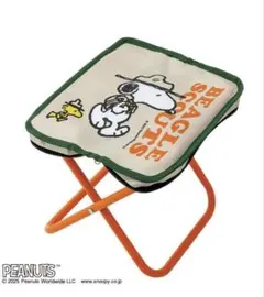 新品 オリーブヤング OLIVE YOUNG ピカチュウ アウトドアチェア イス
