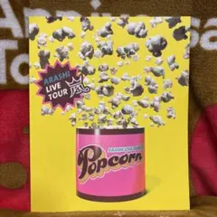 ARASHI LIVE TOUR Popcorn　パンフレット
