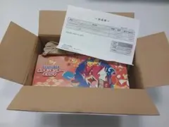 新品未開封品 シュリンク付き ポケモンセンターヒロシマ スペシャルBOX