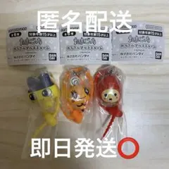 たまごっち カラフルマルチチャーム まめっち めめっち いちごっち