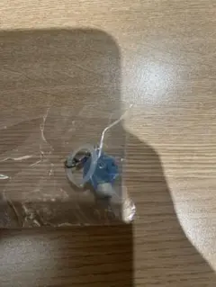JOCHUM めじるしアクセサリー　マイクン