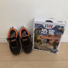 Item thumbnail for item ffde3027-cf1a-47be-9497-04b7b319e383