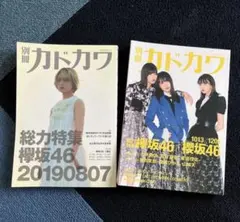 別冊カドカワ 総力特集 欅坂46 櫻坂46 2冊セット