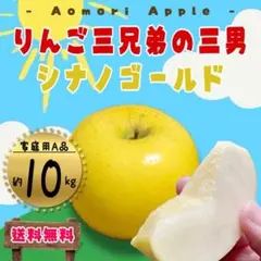 青森県産 りんご シナノゴールド32玉 程度10kg 糖度13度以上 - メルカリ