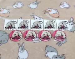 【SB69】アイレーン グッズ セット 42