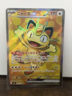 ぶ*ち様 ニャースex SR