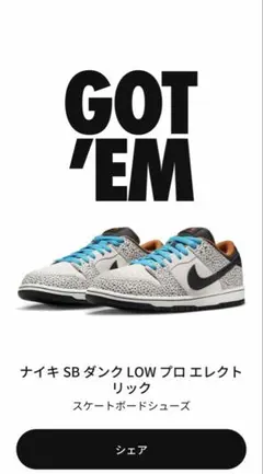 Nike SB Dunk Low Electric Safari 24.5㎝