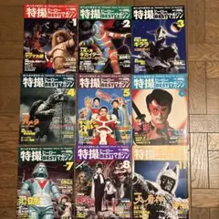 ネコのへちま様 リクエスト 2点 まとめ商品