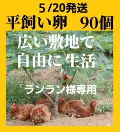 平飼い卵90個５/20常温発送ランラン様専用