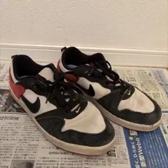 NIKE SB スニーカー ブラック レッド 28センチ ナイキ アリウープ
