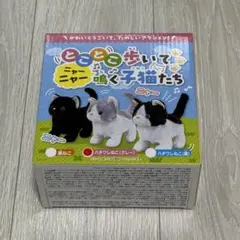 とことこ歩いてニャーニャー鳴く子猫たち