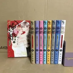 極婚～超溺愛ヤクザとケイヤク結婚!?～ １〜９巻　全巻セット　レンタル　漫画