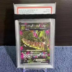 PSA10 ポケカ MジュカインEX SR XY バンデットリング PPSA10 ポケカ MジュカインEX SR XY バンデットリング