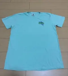 COMFORT COLORS Tシャツ ライトブルー Lサイズ 〝M〟
