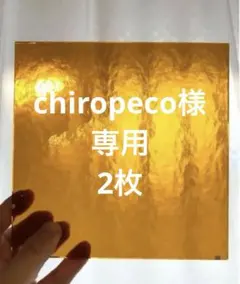 chiropeco様 リクエスト 2点 まとめ商品