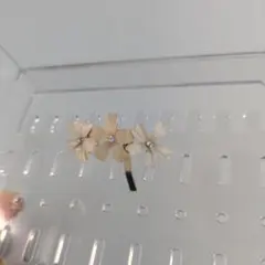 桜　花モチーフ ヘアクリップ ピンク