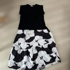 Item thumbnail for item 8b8dd848-3700-44a3-9549-c63d18505bb7