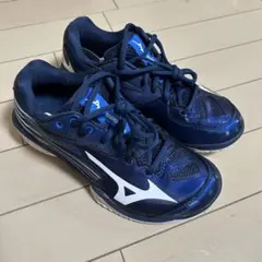 2025年最新】バドミントン シューズ 23.5cmの人気アイテム