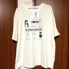 Item thumbnail for item 12d2303d-938d-4f6f-b662-f2faa69fce8b