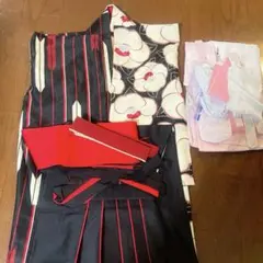 Item thumbnail for item 2e2c01bd-4f2f-4c2f-b522-3fead2dd343f