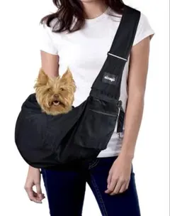 Item thumbnail for item f360a288-07e6-4456-86bd-7c849252cf3d