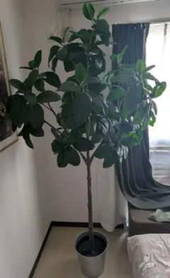 フェイクグリーン ガーデニング