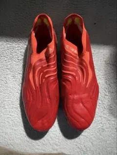 コパセンスFG＋