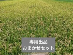 専用ページですので他の方は購入‪しないでください(・ε・´ )ダメ!!