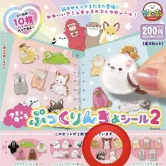 アミュキャラ ぷっくりんちょシール2 キツネセット